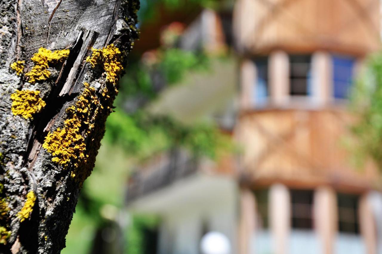 Guesthouse Rungg Badia Kültér fotó